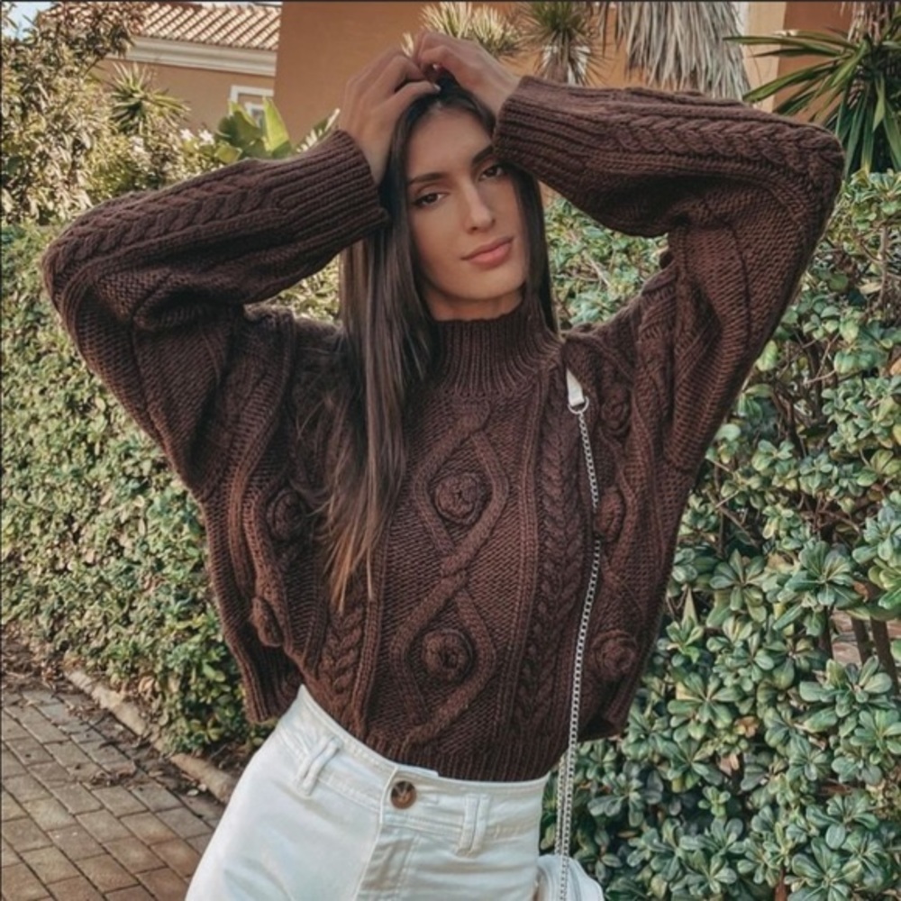 Zara Dark Brown Woven Knit Sweater Small